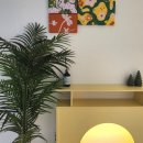 스테이, 이루라 이미지