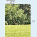 아롬분식 이미지