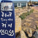 인디55