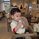 상하목장 | 돌 아기 분유 끊고 첫 우유로 추천, 상하목장 유기농 우유 솔직 후기