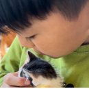 마마동물병원 이미지