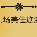 공항메가관광대행사
