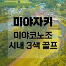 대국축산 | 시내 3색 실속 골프 레인보우, 아오시마, 미야자키 국제공항cc 후기 3박 4일 &amp; 4박 5일- 가온투어