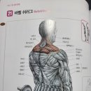 낭만헬스 이미지