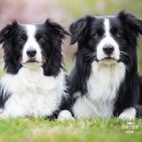 윤진약국 이미지