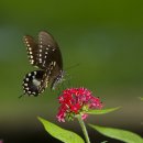 원곡1로 이미지