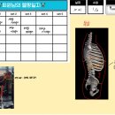 머슬팩토리24 교대점 이미지