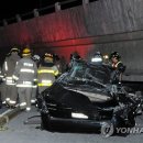 강진-41 이미지