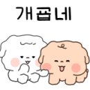 핑크 그라운드 이미지