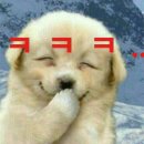 와봐유