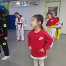 최강키즈태권도장 이미지