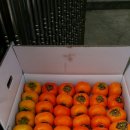 영이농장 이미지