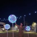 풀 스테이 마돈나 | [여행] 칠곡 독채펜션 풀 스테이 마돈나 힐링하고 온 후기