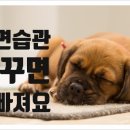 살빼고점핑다이어트