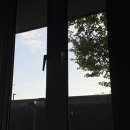 빅드림18 | [혼자여행1-2]🇬🇧런던 대영박물관, 스투시 ,런던아이, 빅벤,셜록홈즈박물관, 노팅힐, 위키드