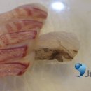 일산수산물시장 이미지