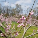 성원농장 이미지