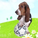 우리종합 동물병원 이미지