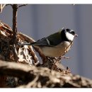 벽적골공원 이미지