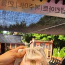 퍼플스모크트리