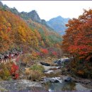(주)상무시네마 이미지