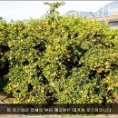 민우농장 이미지