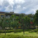 수창청춘맨숀 이미지