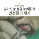 신현동물병원 네이버블로그