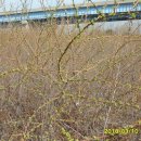 구포지하철역 이미지