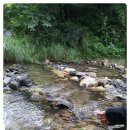 펜션티케하우스 이미지