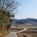 중왕뻘낙지민박 이미지