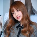 하니2 Daum카페