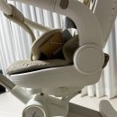 [내돈내산]휴대용유모차 트라이크 에이블코지쉘 후기