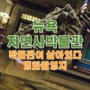 인카운터스 | 아이들과 함께라면 무조건 추천! 뉴욕 자연사 박물관 티켓부터 주차까지