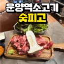 숯피고