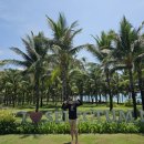 길안당구장 | 3박 5일 여행] #1. 엄마랑 나트랑 여행 : 셀렉텀 노아 리조트 나트랑 가격부터 예약까지 (강추 후기!!)