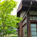 이차돌 근대역사점 | 군산 가볼만한곳, 근대화거리 여미랑과 양과점1925 레트로 감성여행 추천!(ft.군산마리서사,이차돌)