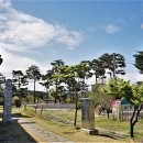강릉오죽한옥마을 Daum카페