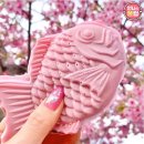 벚꽃붕어빵