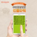 썬플라워 태양광발전소 이미지