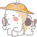 얀스토리 이미지