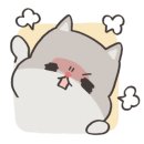 청담물회