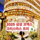 가람도서관 | 2025 삼성 코엑스 별마당도서관 크리스마스 트리 🎄포토존 후기