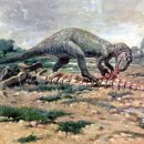 알로사우루스 이미지