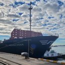 티씨 코리아 이미지