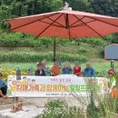 옥천군치매안심센터 이미지