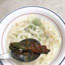 자매돌산갓김치 | [여수갓김치] 돌산세자매 갓김치 택배 주문 후기