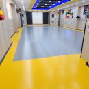 강호태권도 이미지