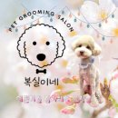 복실이네애견미용실 이미지