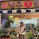 브리즈플라워 이미지